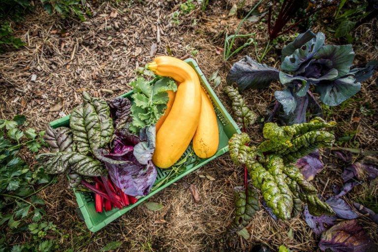 4809 ezgif.com webp to jpg 7 768x512