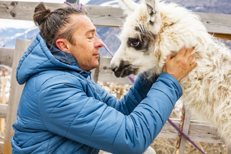 4816 castelatsch 4 768x512