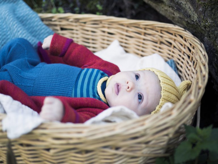 5002 Miniloop IMGP2782 768x576