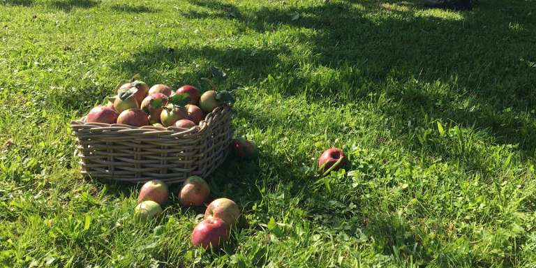 5133 Banner H19 2 768x384