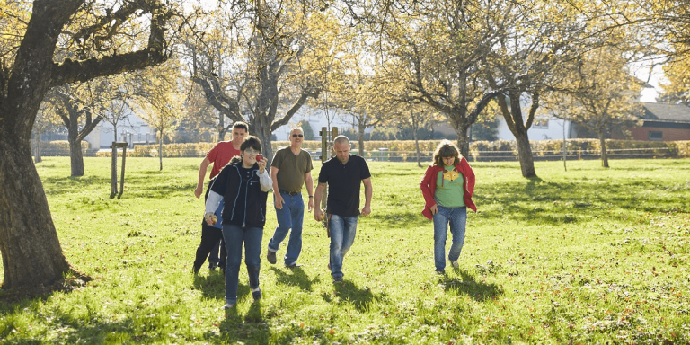 5133 ernte 1453 768x384